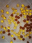 よい乾燥のための穴が付いている薬剤の薬のプラスチック乾燥の皿