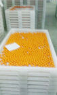 凍結のベーキングを乾燥するための反高いTempratureのプラスチック乾燥の皿のPe材料