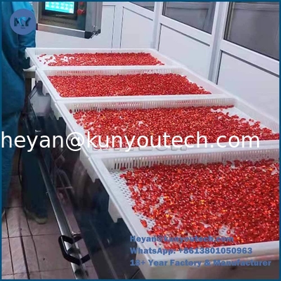 品質  Food Grade Plastic tray and trolly with size 750*550*45 for drying in discoult 工場