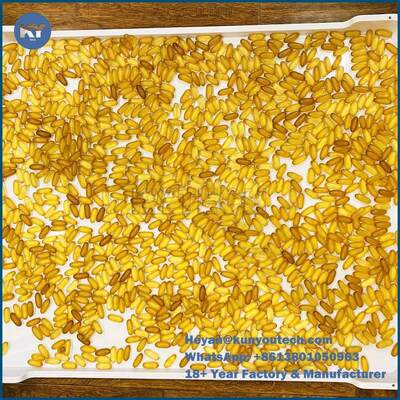 品質  Large Size 78*50*6cm Plastic Drying Trays Softgel Anti High Temprature 工場