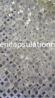 食糧薬剤の等級のゼラチン