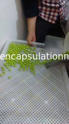 ペイントボール/Softgelを乾燥するための皿を積み重ねるPPの積み重ね可能な乾燥の皿/