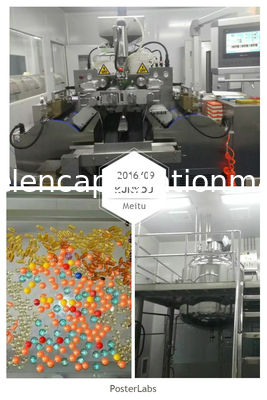 PID制御を用いる注文の50/60HZペイントボールのカプセル封入機械