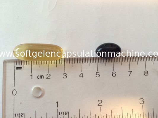 カプセル封入のパッキング機械部品はspredox箱の注入のくさびポンプにブラシをかけ、ロール死ぬ