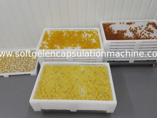 Softgelのカプセルおよびペイントボールのためのプラスチック乾燥の皿の薬剤の乾燥を食品等級