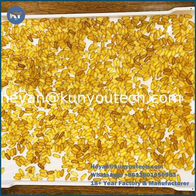 PP/ABS 素材 平底プラスチック式乾燥用トレイ 758x608x40mm カプセル乾燥用