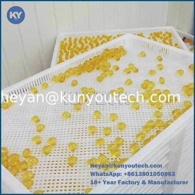 PPABS食品用プラスチック製乾燥用トレイ 758x608x40mm
