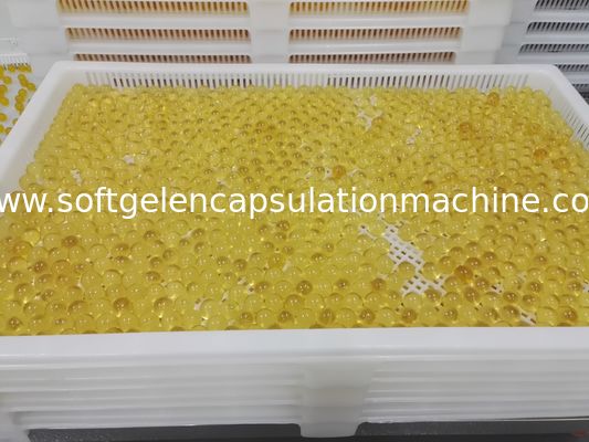 薬のプラスチック乾燥の皿
