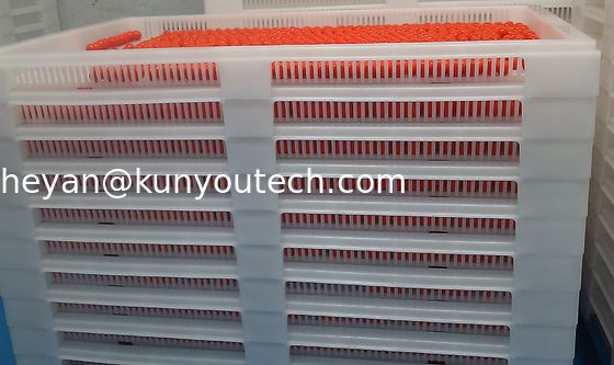 白い食品等級の積み重ね可能なプラスチック皿/冷却の皿762*495*55mm