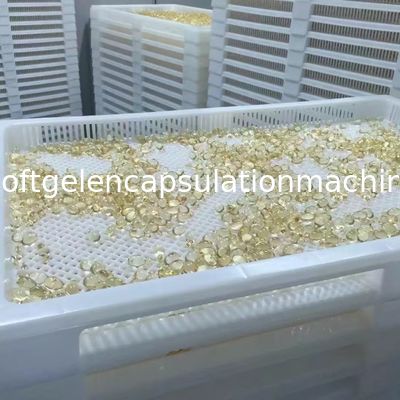 魚油のSoftgelのカプセル封入機械1208 * 2450mm次元120000のPC/H