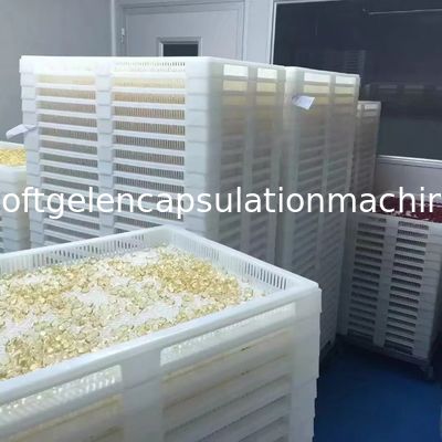 ペイントボールのプラスチック乾燥の皿