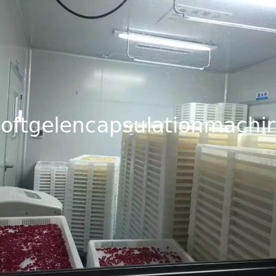柔らかいカプセルS403を作るための小さいSoftgelのカプセル封入機械生産ライン
