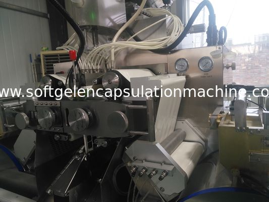 PLC制御カプセル製造機械薬剤の1年の保証