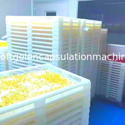 液体のカプセルの詰物のための15kg/H 3.5RPMの薬剤の機械類