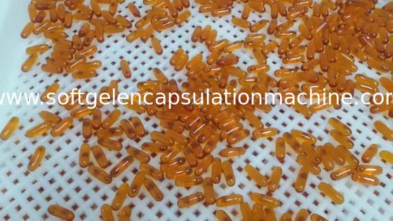 SS316 Cbdオイル50000 Capsule/H Softgelのカプセル封入機械
