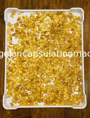 軽量のプラスチック クーラーの皿の食品等級の積み重ね可能な平底762*600*55mm