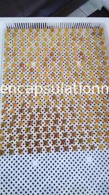 Softgel継ぎ目が無い機械を切るPulsant