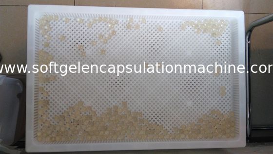 ペイントボールを乾燥するためのプラスチック乾燥の皿