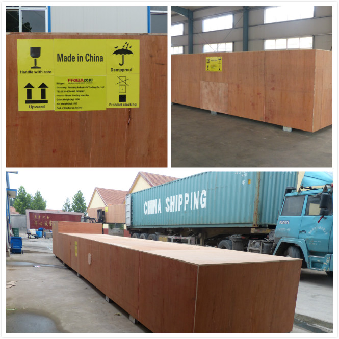 SS304 Softgelのカプセル封入のProducionの転倒のより乾燥した機械 7