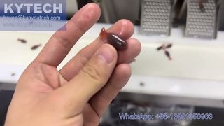 魚型サーボソフトジェル封入機